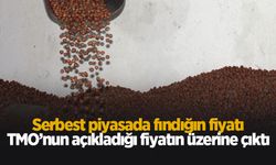 Serbest piyasa fındık fiyatı, TMO'nun fiyatlarının üzerine çıktı