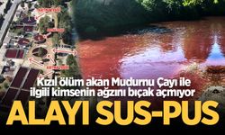 Kızıl ölüm akan Mudurnu Çayı ile ilgili kimsenin ağzını bıçak açmıyor: Alayı sus-pus!