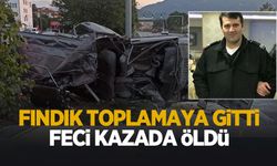Fındık toplamaya gitmişti; Feci kazada öldü