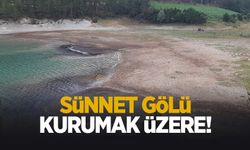 Kuraklık Sünnet Gölü'nü de vurdu; Göl kurumak üzere