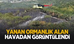 Akyazı'da yanan ormanlık alan görüntülendi