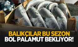Karadeniz'de bol palamut bekleniyor