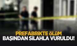 Koltuğunda silahla başından vurulup can verdi