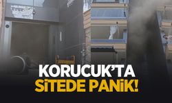Korucuk'ta sitede panik; 23 kişi tahliye edildi!
