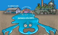 Sapanca Gölü’ndeki tehlike karikatüre yansıdı