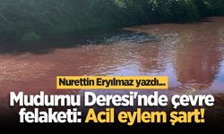 Mudurnu Deresi’nde çevre felaketi: Acil eylem şart!