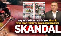 Akyazı’daki tarımsal ürünler kiremit rengi akan Mudurnu Çayı’ndan sulanıyor