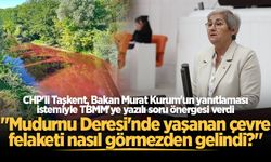 Mudurnu Deresi'ndeki çevre felaketi Meclis gündeminde!