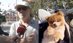 Kayıp köpeğin sahibi aranıyor