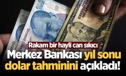 Merkez Bankası yıl sonu dolar tahminini açıkladı!