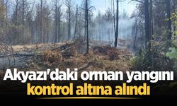 Akyazı'daki orman yangını kontrol altına alındı