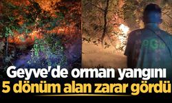 Geyve'de orman yangını: 5 dönüm alan zarar gördü