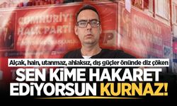 Sen kime hakaret ediyorsun Kurnaz!