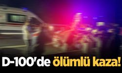D-100'de feci kaza: 1 ölü, 2 yaralı