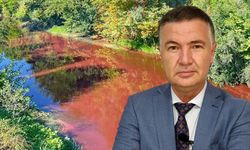 Sezai Matur Akyazı'daki çevre katliamını böyle yazdı: O fabrikaları koruyan kim?