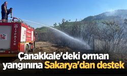 Çanakkale'deki orman yangınına Sakarya'dan destek