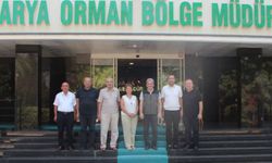 Trabzonlular Derneği ağaçlandırma için harekete geçti