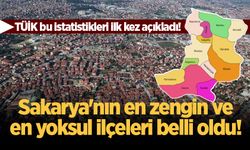 Sakarya'nın en zengin ve en yoksul ilçeleri belli oldu!