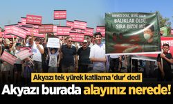 Akyazı tek yürek katliama 'dur' dedi: Akyazı burada alayınız nerede!