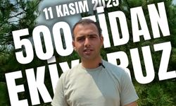 Serdivan Gençlik Meclisi, yangından etkilenen doğaya fidan dikerek destek olacak