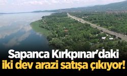 Sapanca Kırkpınar'daki iki dev arazi satışa çıkıyor!