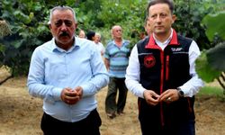 İl Tarım Müdürü Baş Akyazı’ya geldi