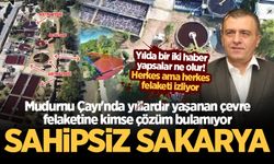 Mudurnu Çayı’nda yıllardır yaşanan çevre felaketine kimse çözüm bulamıyor: Sahipsiz Sakarya!