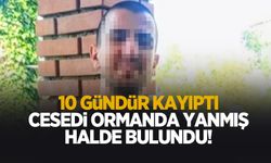 Kayıp gencin ormanda yanmış cesedi bulundu