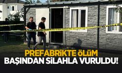 Koltuğunda silahla başından vurulup can verdi