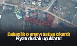 Karasu'daki o arazi satılıyor; İşte istenen fiyat