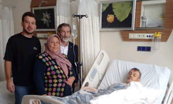 Domuz saldırısına uğrayan emekli imam hastanelik oldu