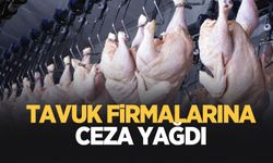 Tavuk eti firmalarına rekor ceza