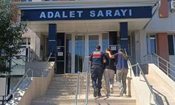 Bilecik'te nitelikli dolandırıcılık operasyonu