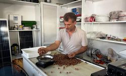 Fındıkta fiyat yükseliyor