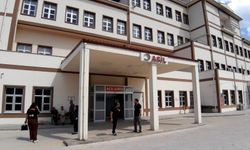 Bolu'da ayı saldırısında 1 kişi yaralandı: Saldırı sonrası av kararı