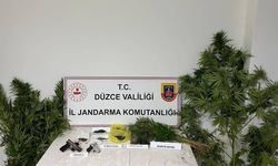 Düzce'de uyuşturucu operasyonunda 1 tutuklama