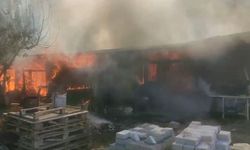 Bağ evi aslev alev yandı