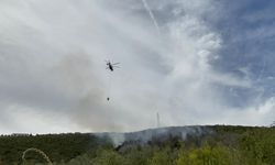 Kocaeli'deki orman yangını 1 saatte kontrol altına alındı