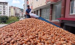 Fındık ihracatında son durum