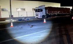 Otomobilin çarptığı tır sürücüsü hayatını kaybetti