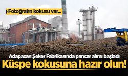 Küspe kokusuna hazır olun! Adapazarı Şeker Fabrikasında pancar alımı başladı