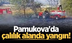 Pamukova'da çalılık alanda yangın!