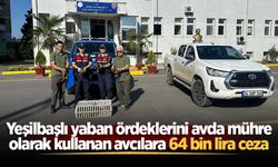 Yeşilbaşlı yaban ördeklerini avda mühre olarak kullanan avcılara 64 bin lira ceza