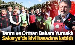 Tarım ve Orman Bakanı Yumaklı Sakarya'da kivi hasadına katıldı