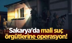 Sakarya'da mali suç örgütlerine operasyon!