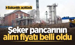 Bakanlık açıkladı: Şeker pancarının alım fiyatı belli oldu