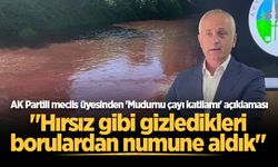 AK Partili meclis üyesinden 'Mudurnu çayı katliamı' açıklaması: "Hırsız gibi gizledikleri borulardan numune aldık"
