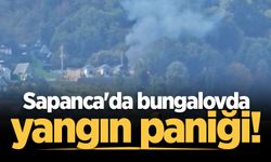 Sapanca'da bungalov tesisinde yangın paniği!