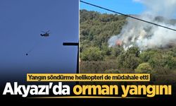 Akyazı'da orman yangını: Yangın söndürme helikopteri de müdahale etti