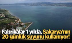 Fabrikalar 1 yılda, Sakarya'nın 20 günlük suyunu kullanıyor!